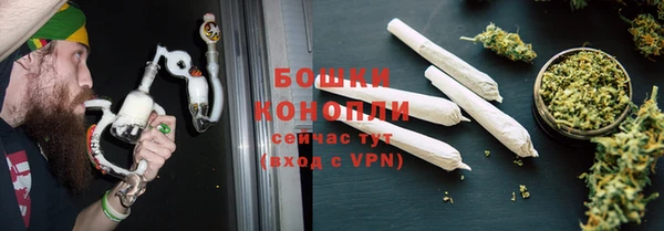 твердый Богданович