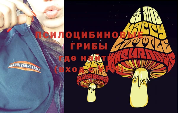 ПСИЛОЦИБИНОВЫЕ ГРИБЫ Верея